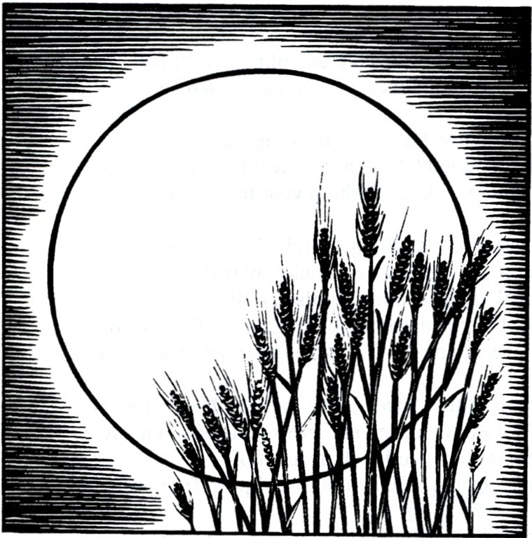 Black and white drawing of a full moon with stalks of wheat in the foreground.